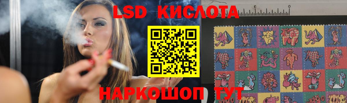 Тара  ЛСД экстази ecstasy  Вход с VPN 