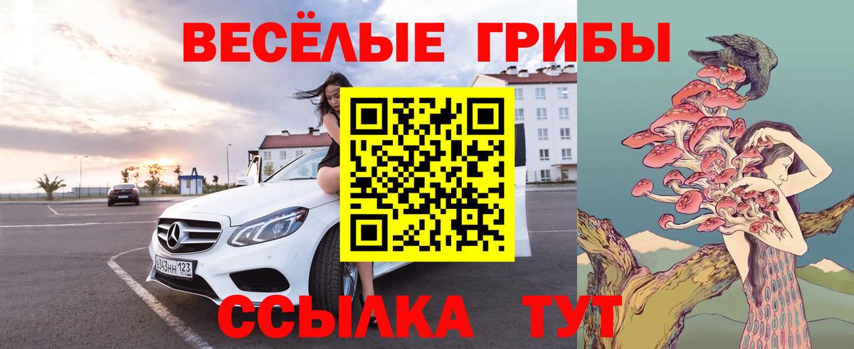 Псилоцибиновые грибы Psilocybine cubensis  Галлюциногенные грибы Psilocybe  Вход с VPN  Тара 